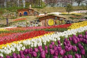 대구 세천늪테마정원