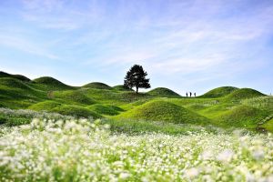 대구 불로동 고분군