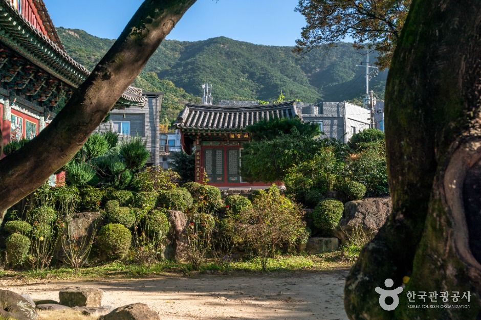 대구_백련사(대구) (4)