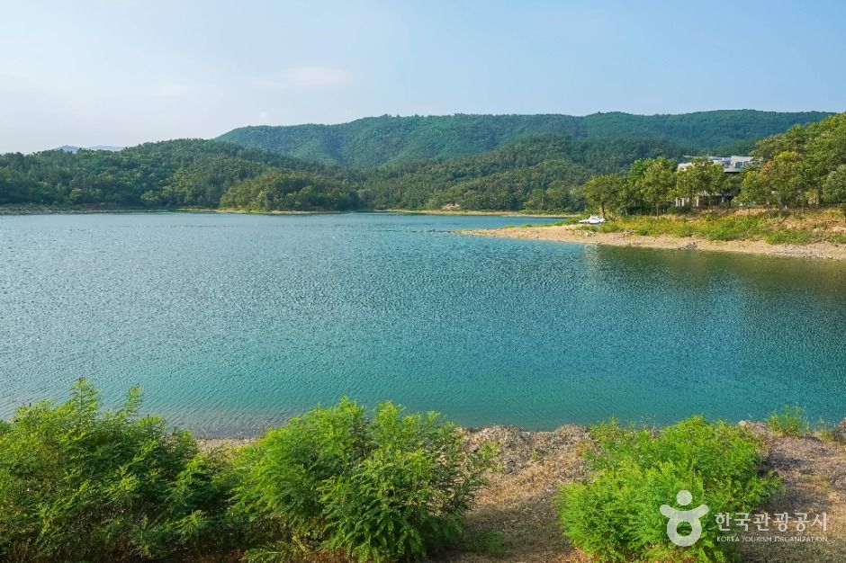 대구_봉무공원 (2)