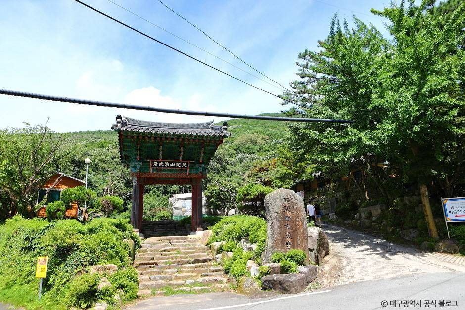 대구_비슬산자연휴양림 (2)