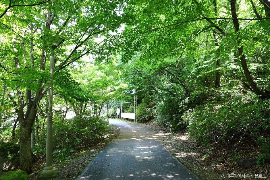 비슬산자연휴양림