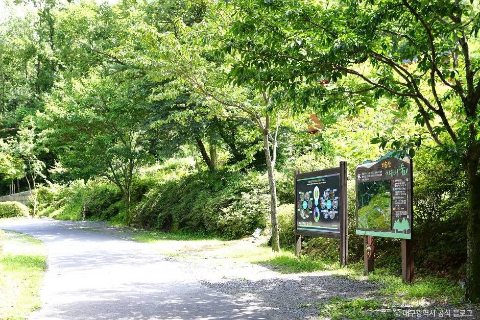 대구_비슬산자연휴양림 (4)