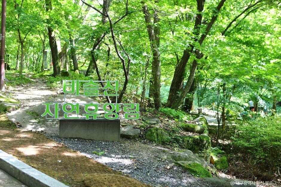 대구_비슬산자연휴양림 (5)