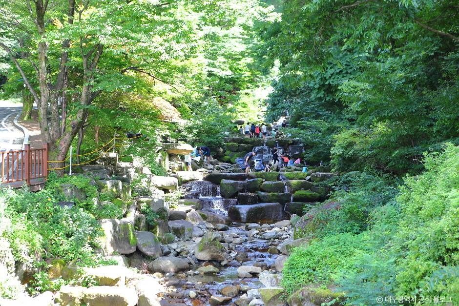 대구_비슬산자연휴양림 (1)