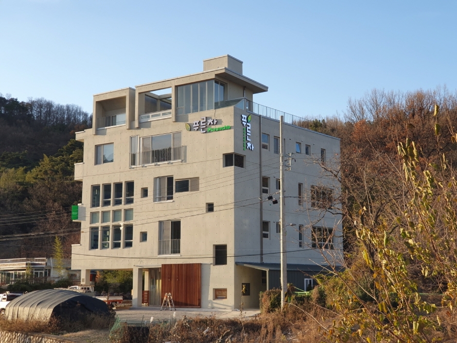 푸른차문화연구원 (6)