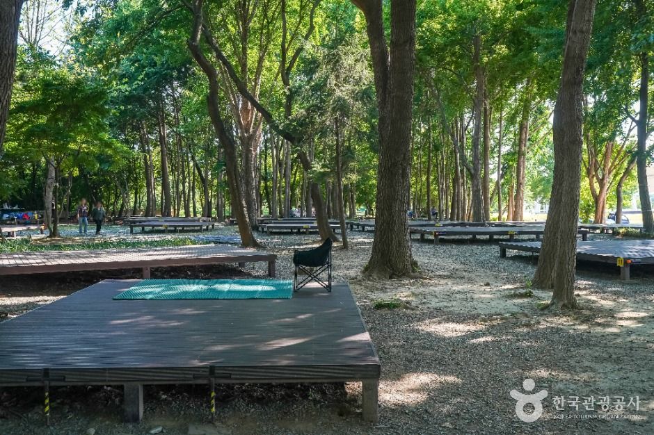 사문진피크닉장