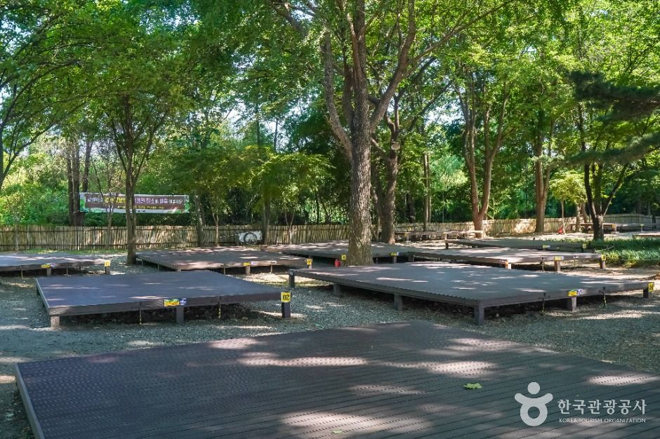 대구달성_사문진피크닉장 (4)