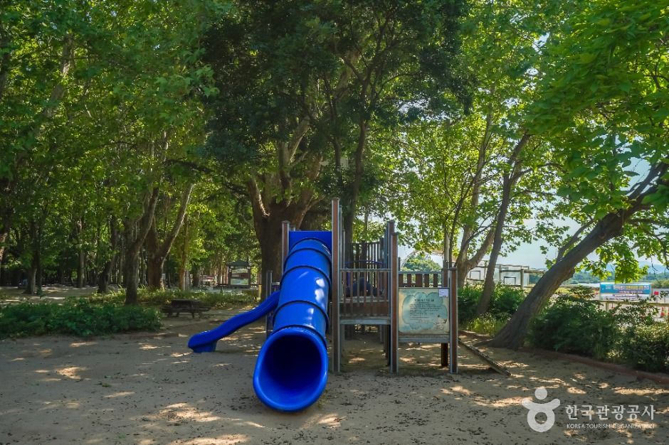 대구달성_사문진피크닉장 (5)