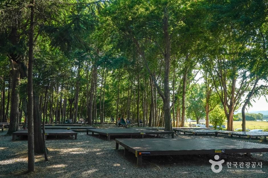 대구달성_사문진피크닉장 (2)