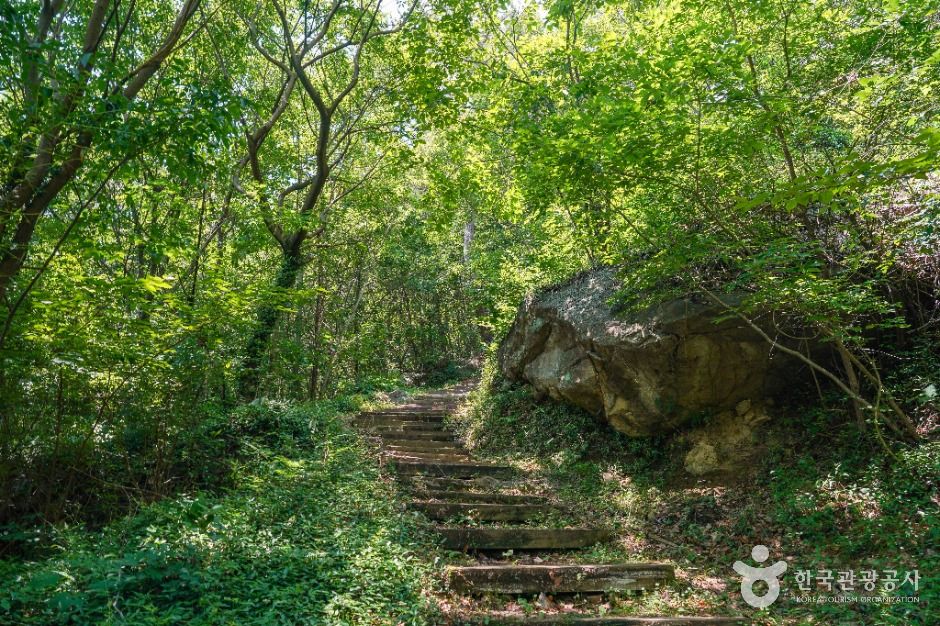 달성_사효자굴 (5)