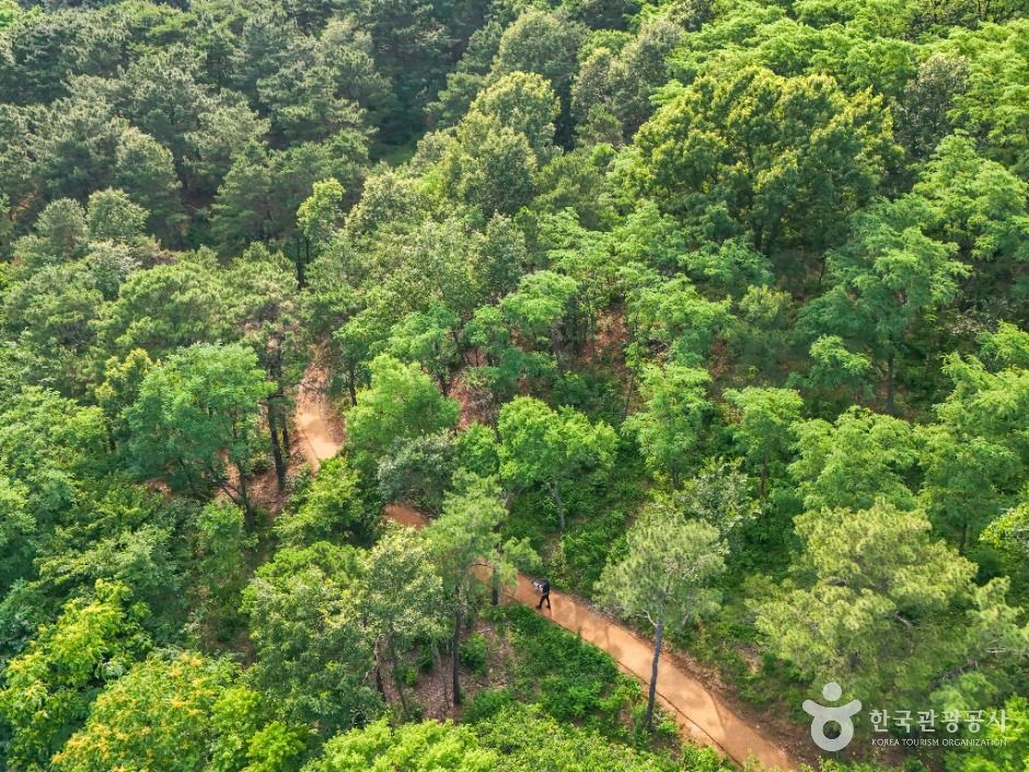 대구_상리공원 (5)