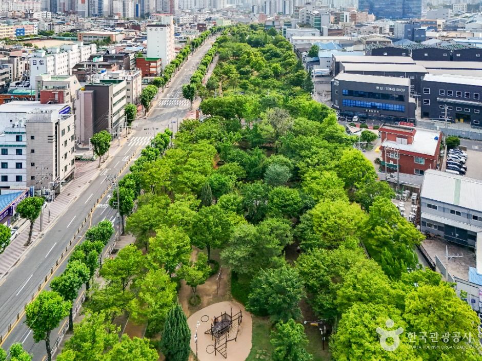 대구_서구 그린웨이 상록수원 (3)