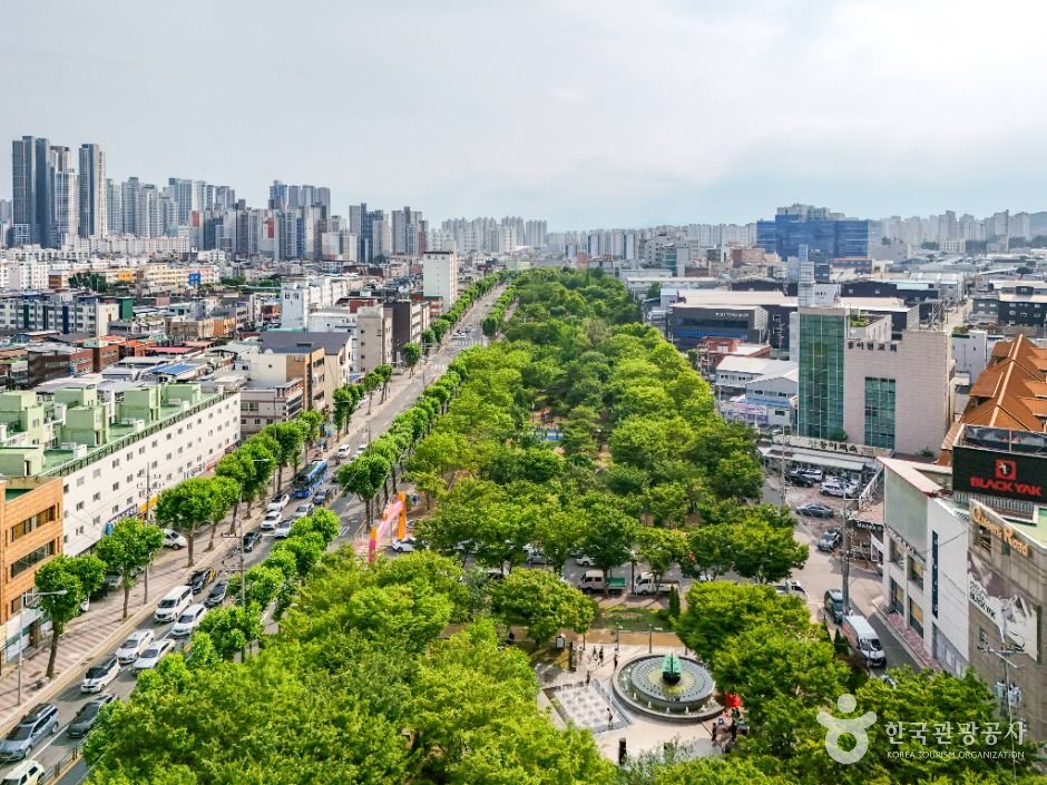 대구_서구 그린웨이 상록수원 (4)