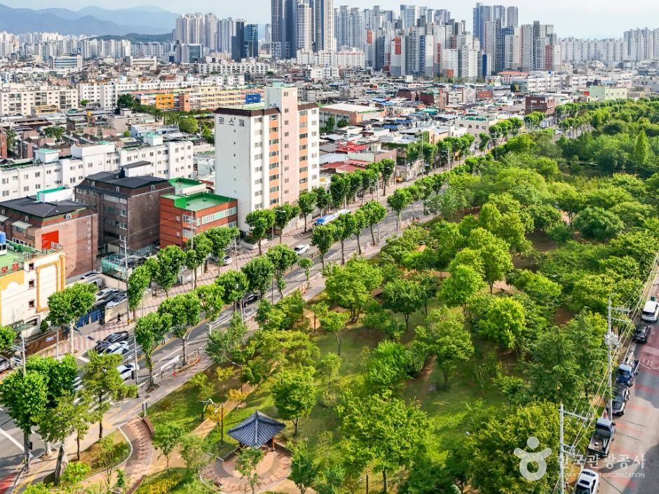 대구_서구 그린웨이 상록수원 (6)