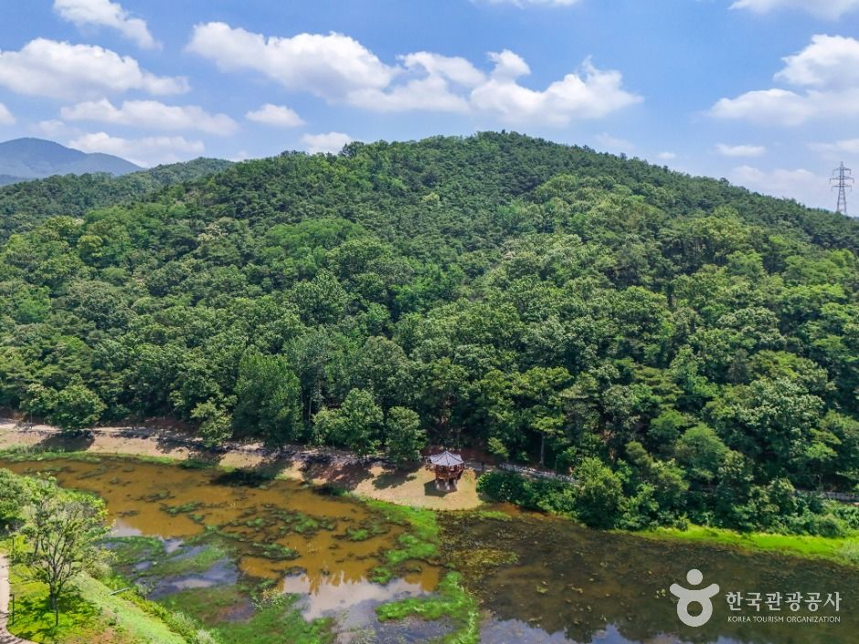 대구_서리지 수변생태공원 (1)