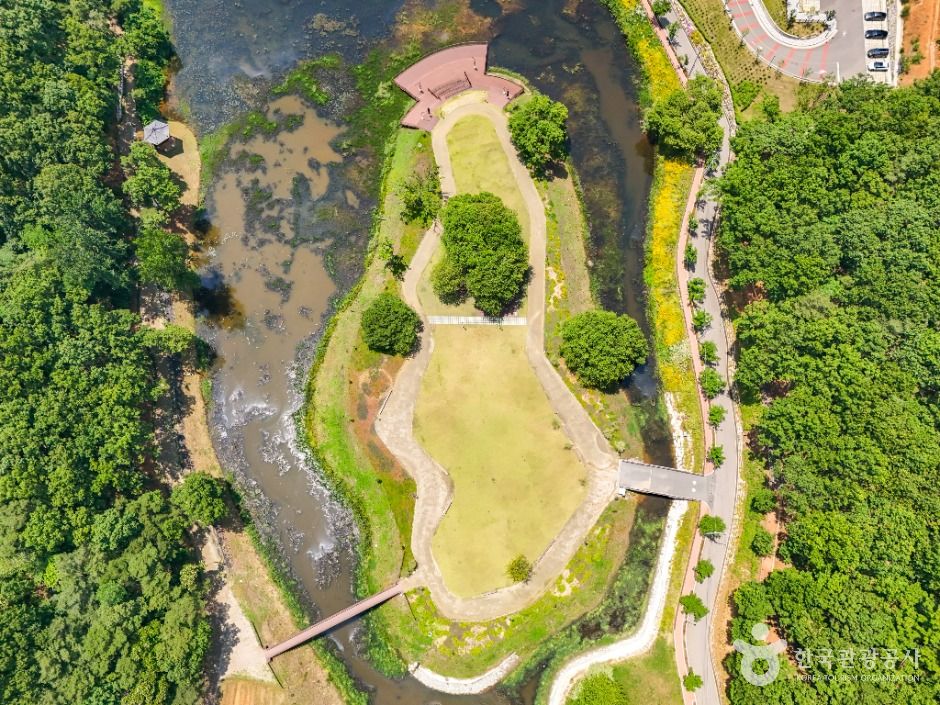 대구_서리지 수변생태공원 (3)