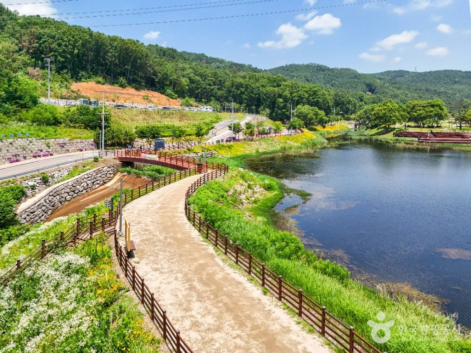 대구_서리지 수변생태공원 (5)