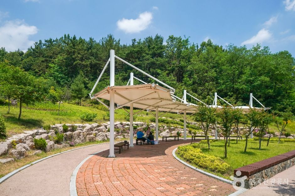 대구_서리지 수변생태공원 (7)