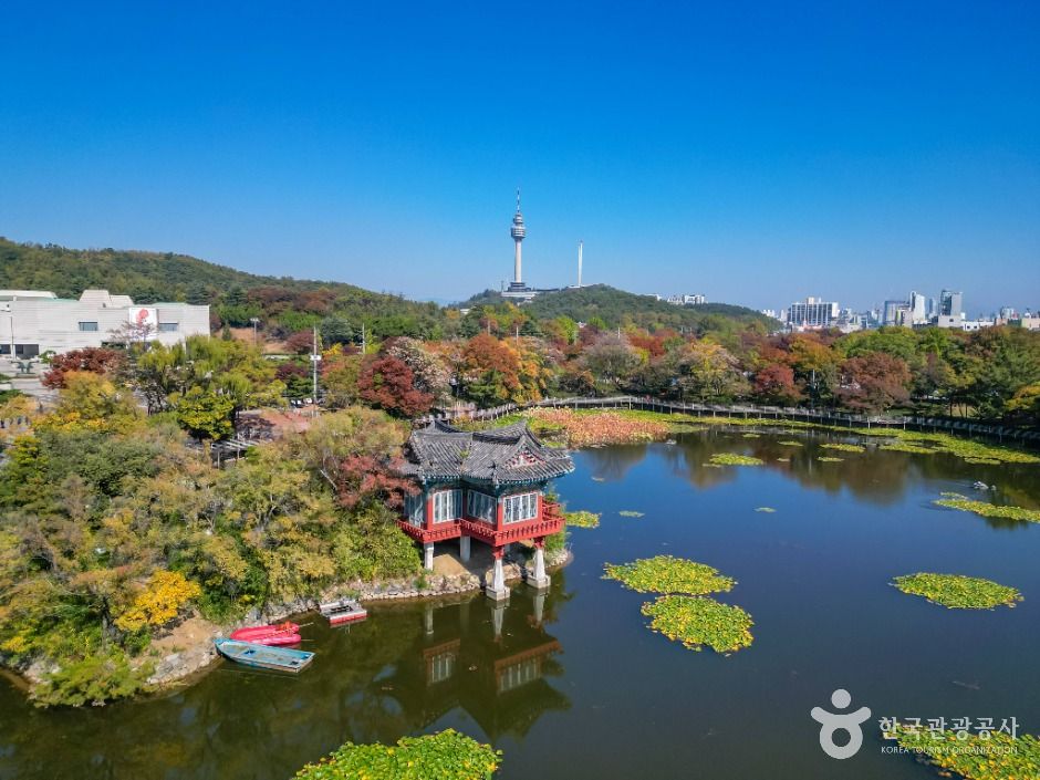 대구_성당못 (3)