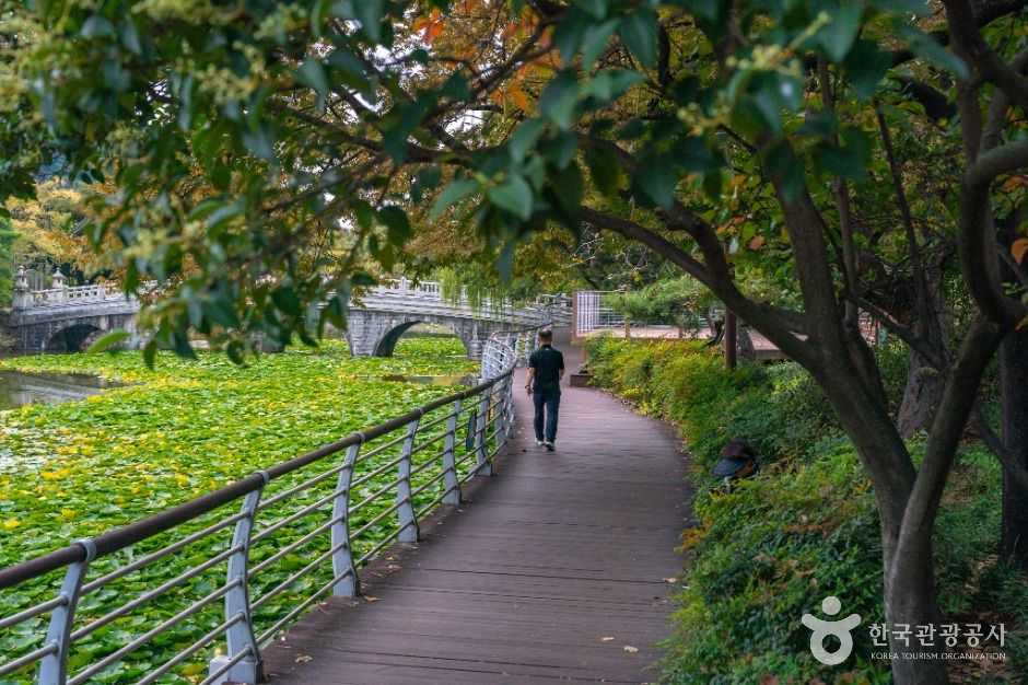 대구_성당못 (4)