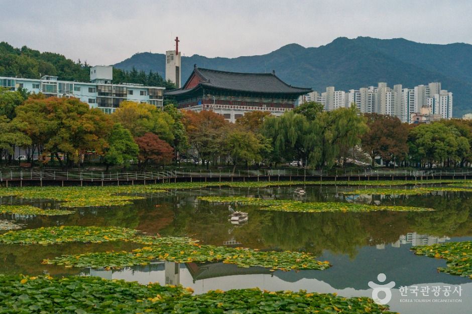 대구_성당못 (5)