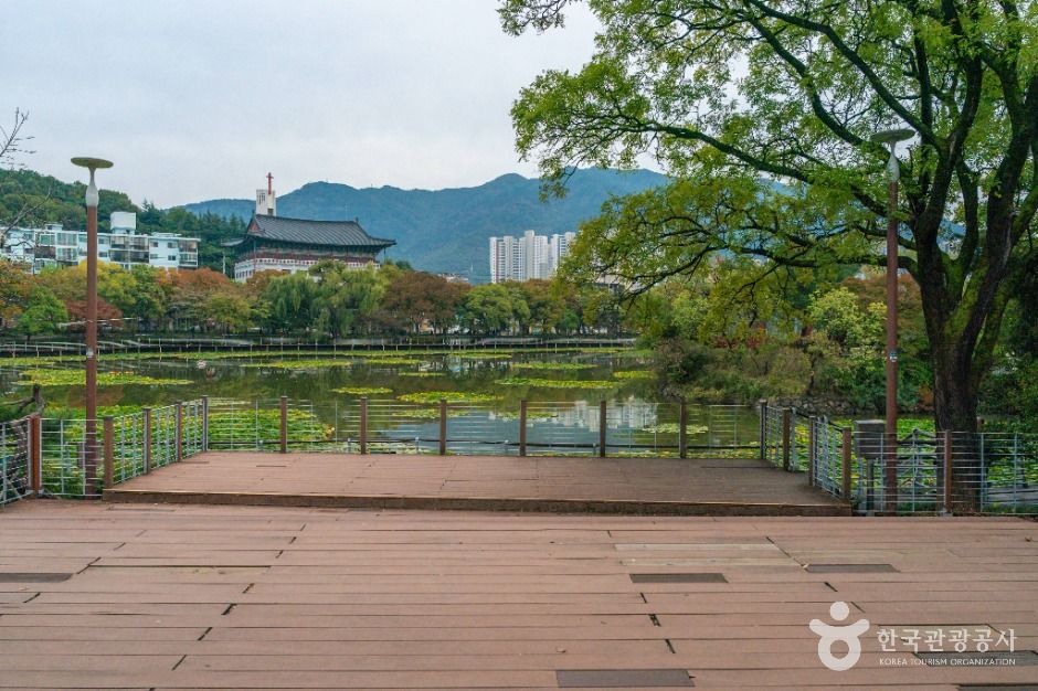 대구_성당못 (6)