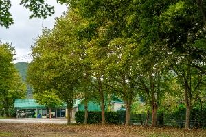 구암팜스테이마을