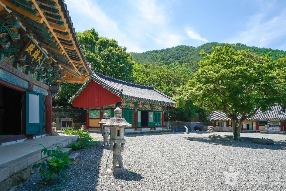 달성_소재사(대구) (5)