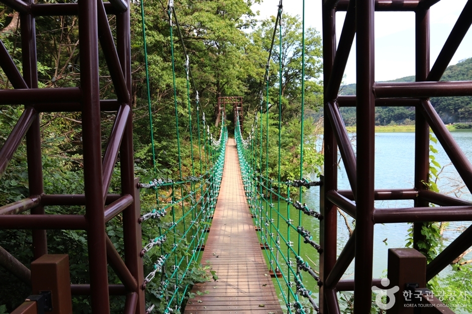 송해둘레길 (14)