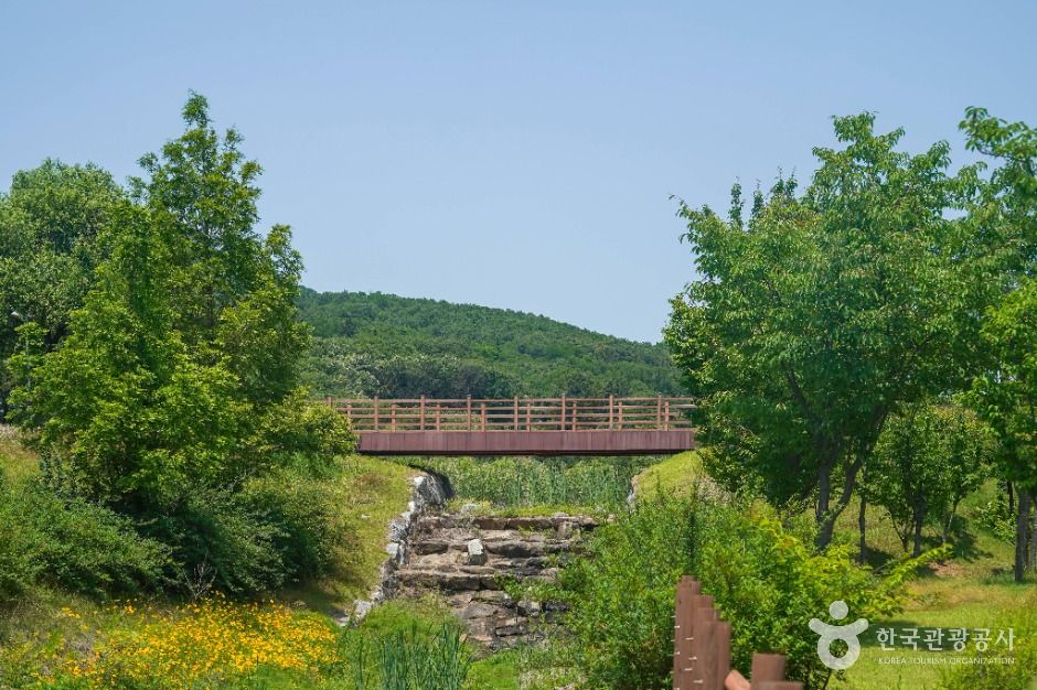 대구_송호지공원 (2)