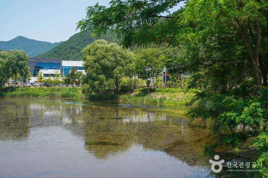 대구_송호지공원 (4)