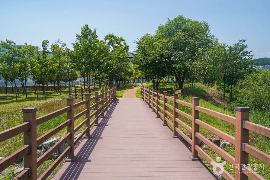 대구_송호지공원 (5)