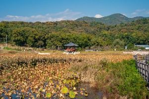 나불지 생태공원