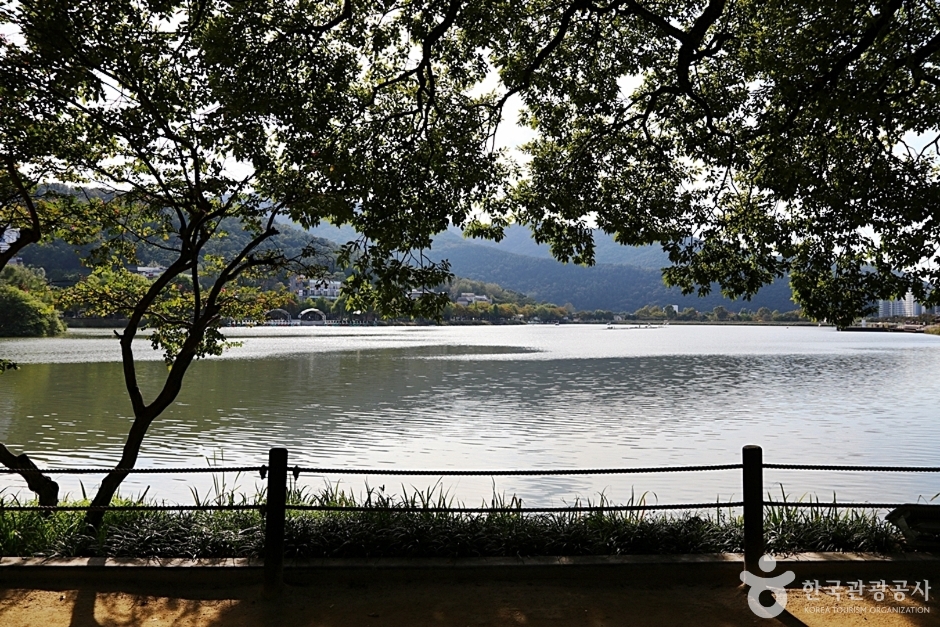 수성못상화동산 (13)