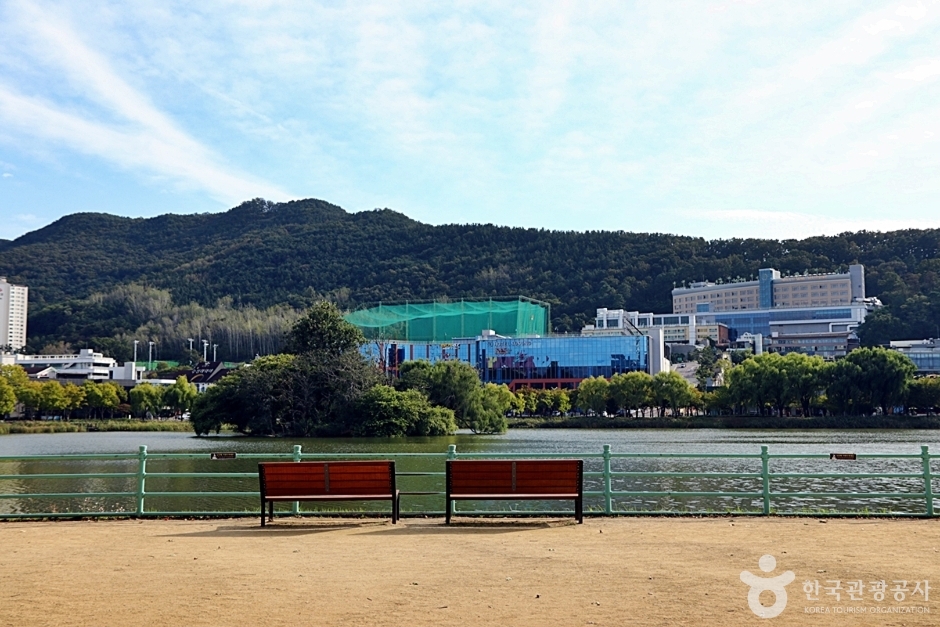 수성못상화동산 (15)