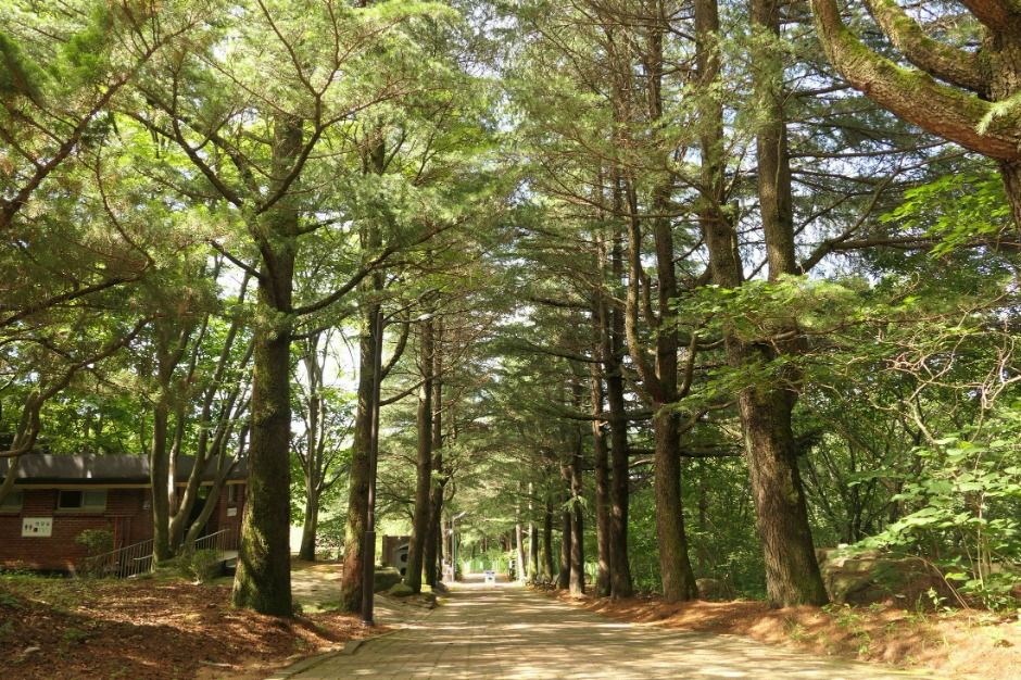 대구_수태골 (2)