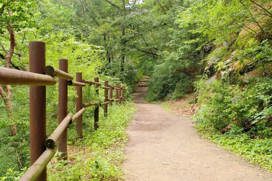 대구_수태골 (4)