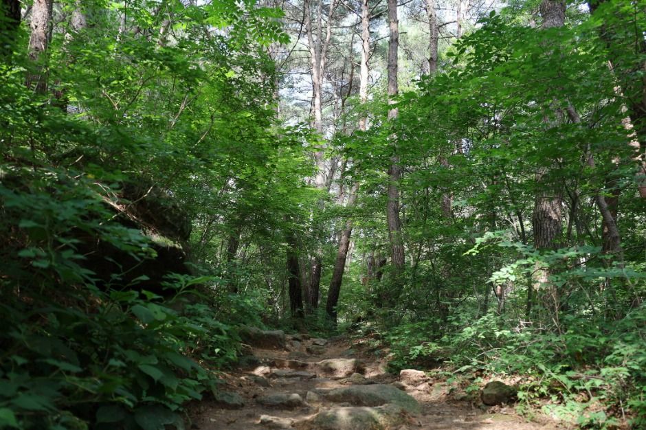 대구_수태골 (5)