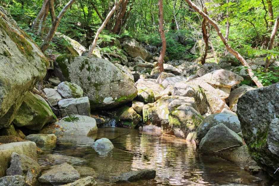 대구_수태골 (8)