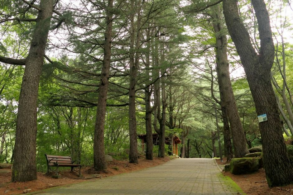 대구_수태골 (12)