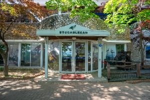 팔공산 케이블카