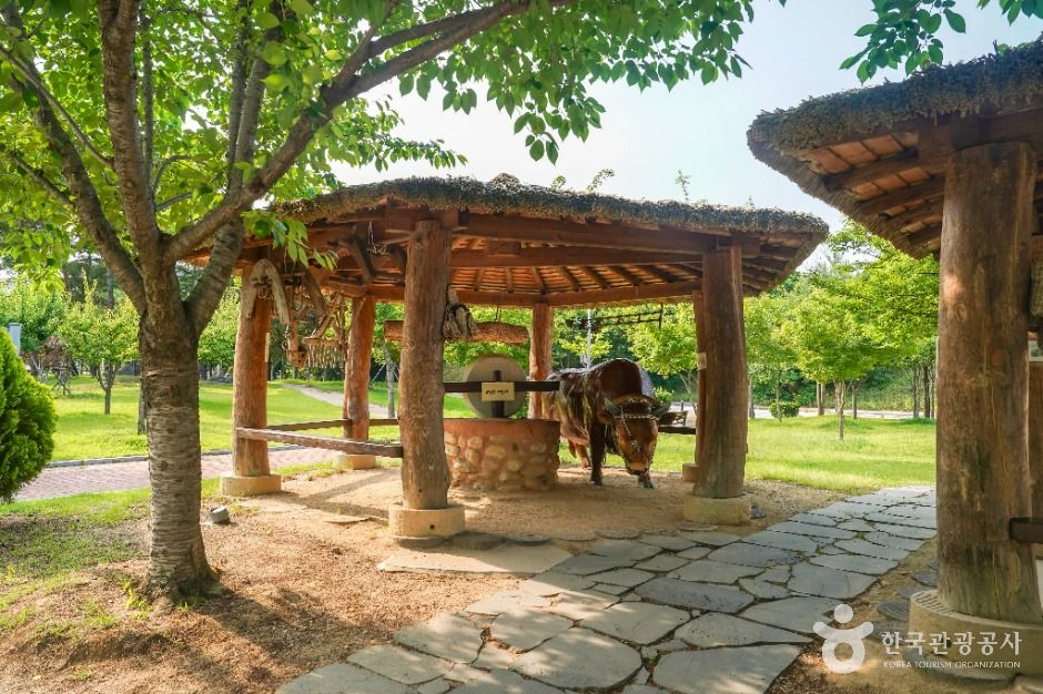 대구_신서 중앙공원 (2)