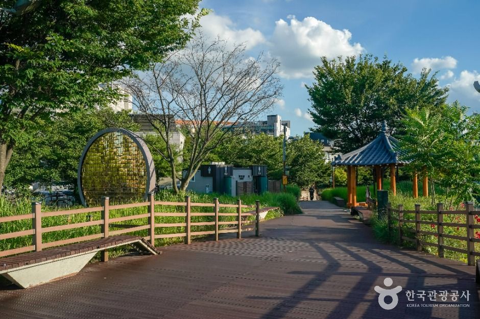 대구_아양기찻길 (6)