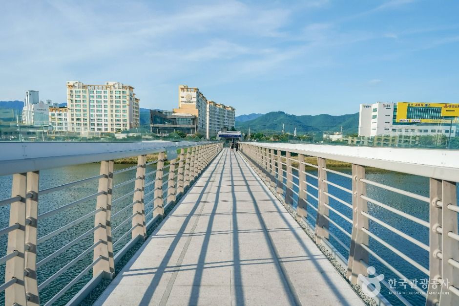 대구_아양기찻길 (7)