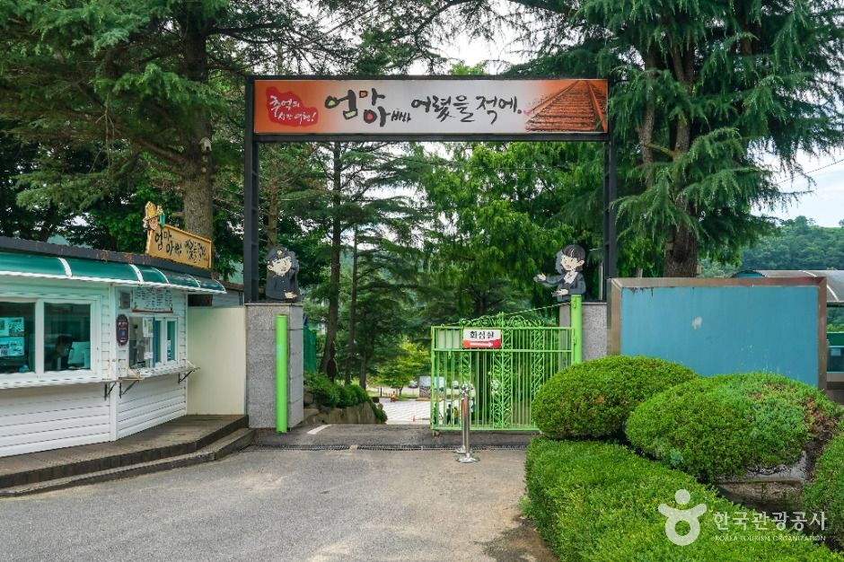 대구_엄마아빠어렸을적에 (6)