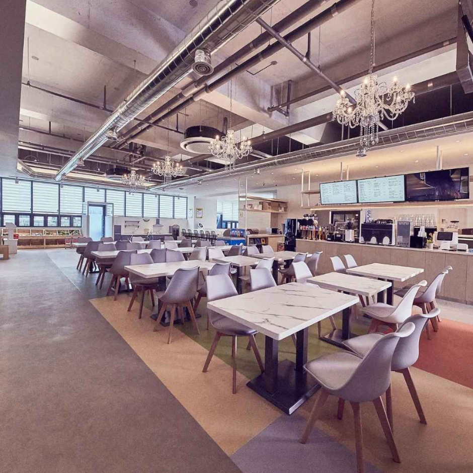 대구_엘리몽 (1)