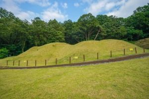 대구 구암동 고분군