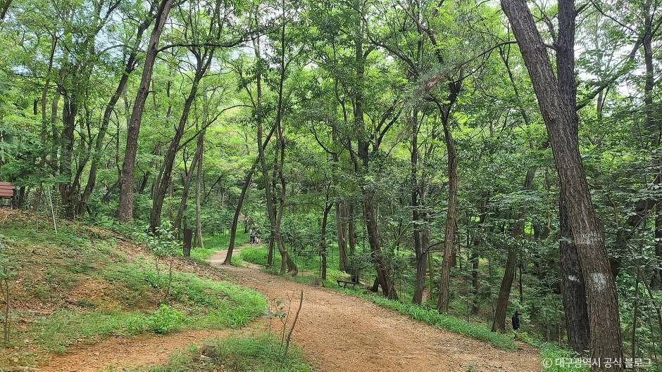 대구_와룡산(대구) (2)