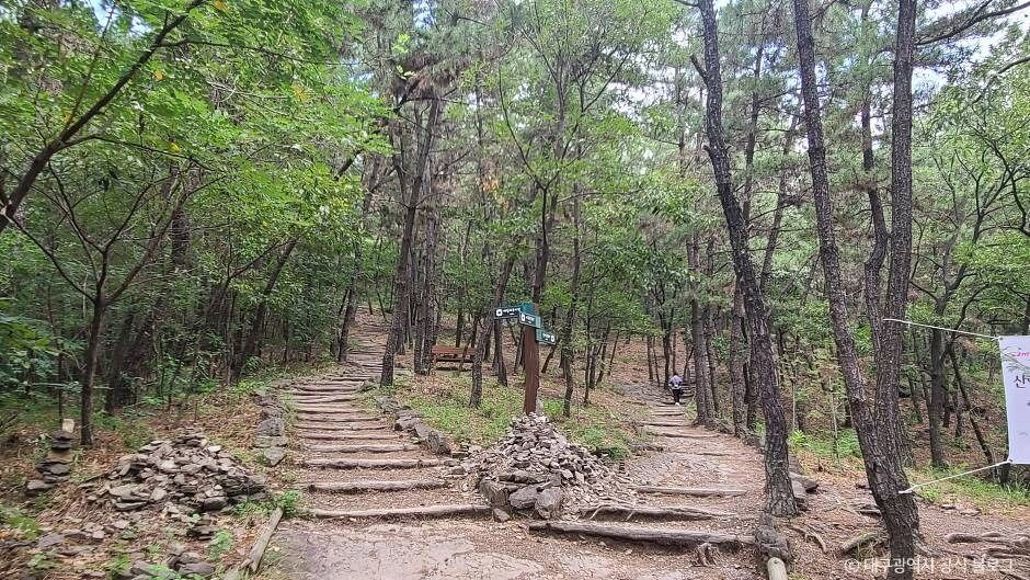 대구_와룡산(대구) (4)